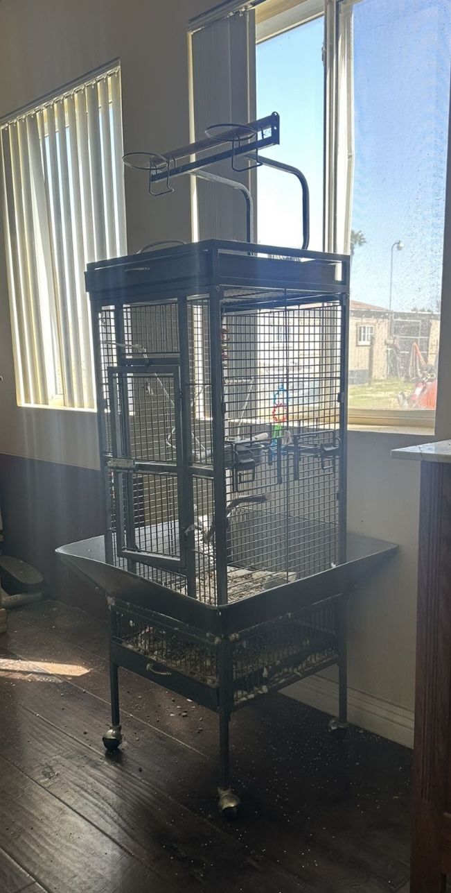 Bird Cage