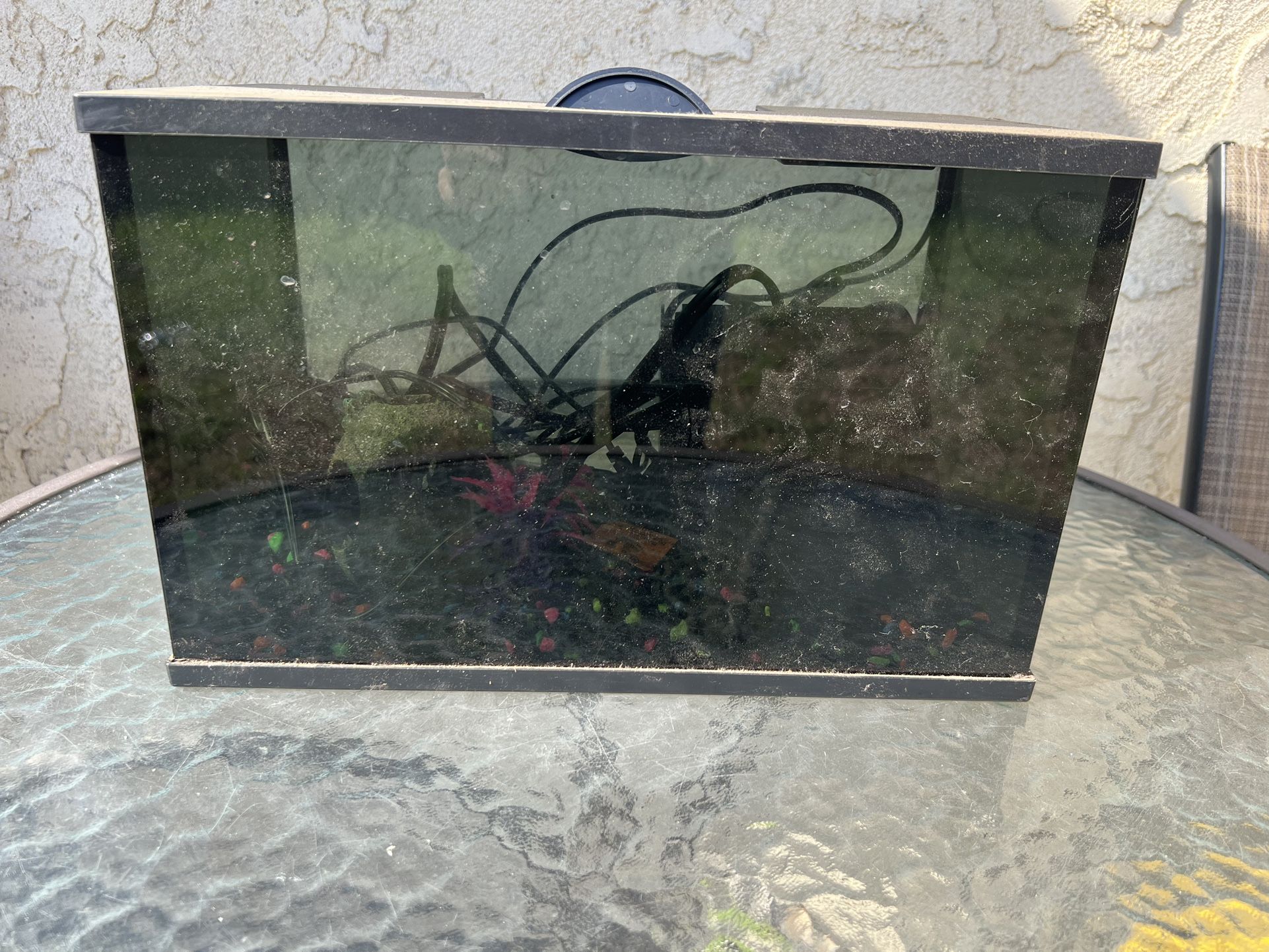 5 Gal Fish Tank