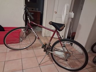 Univega Rover 301 bike