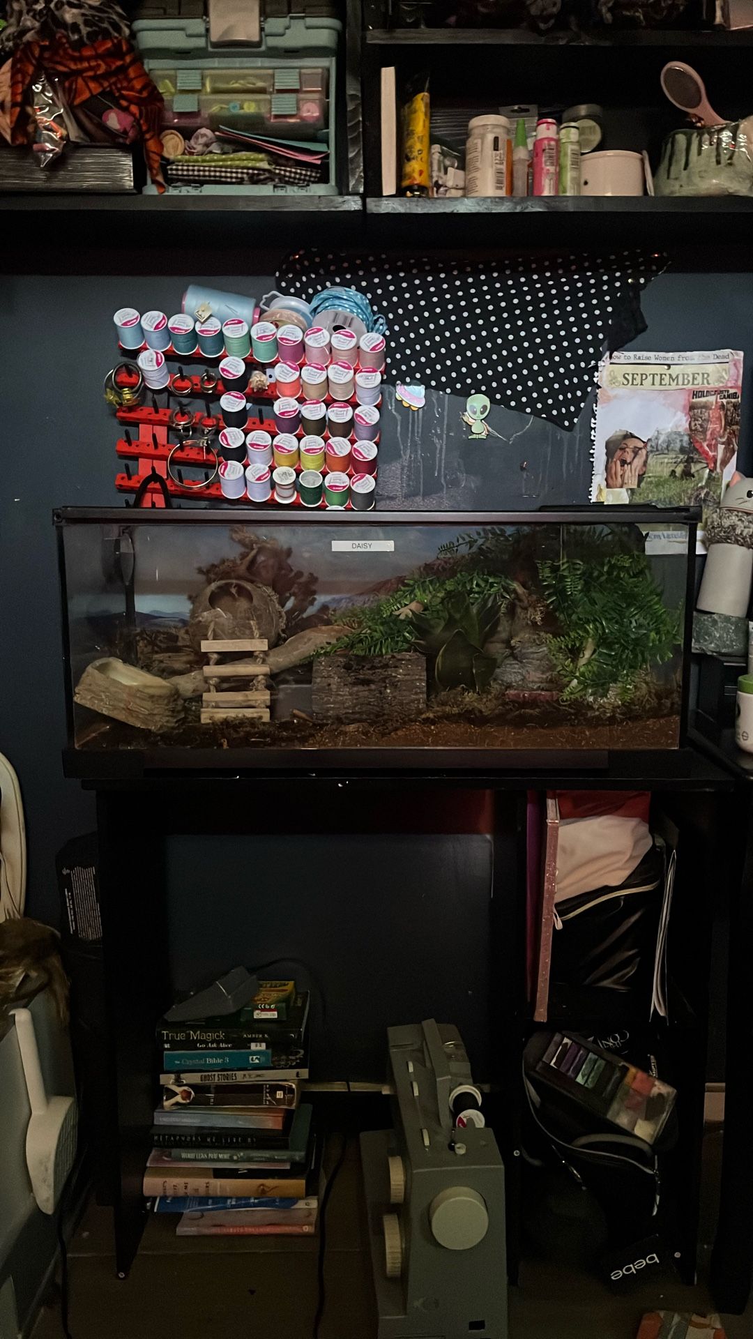 20 gal tank