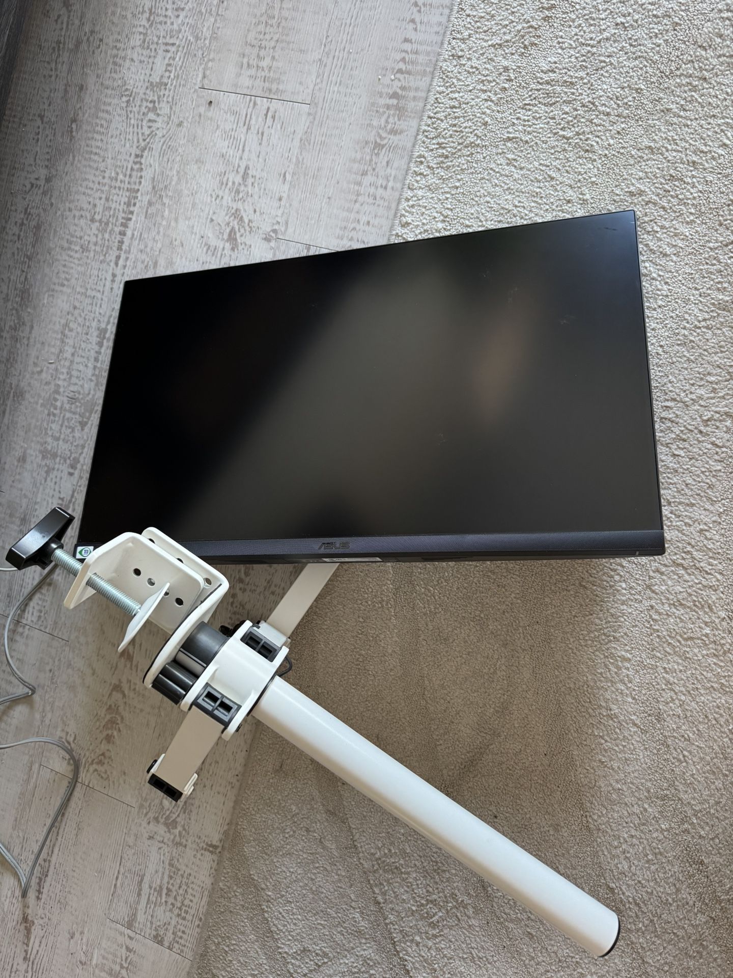 Asus Monitor