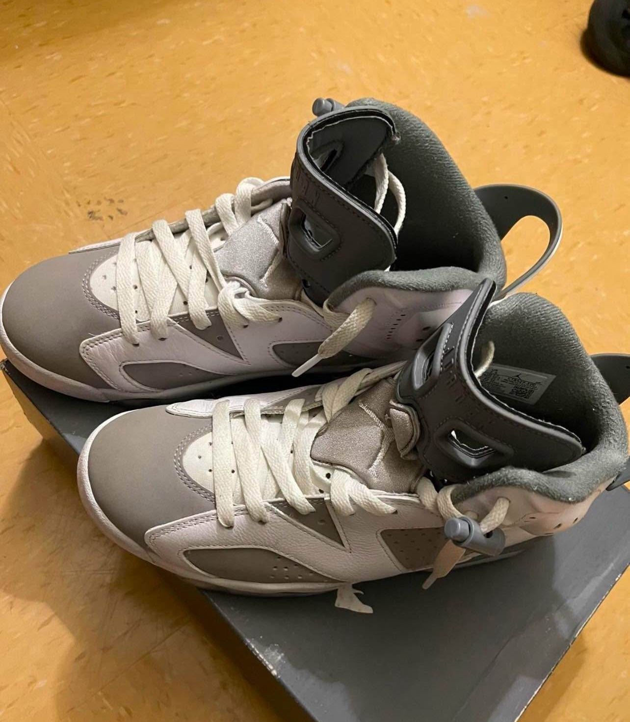 COOL GREY JORDAN 6