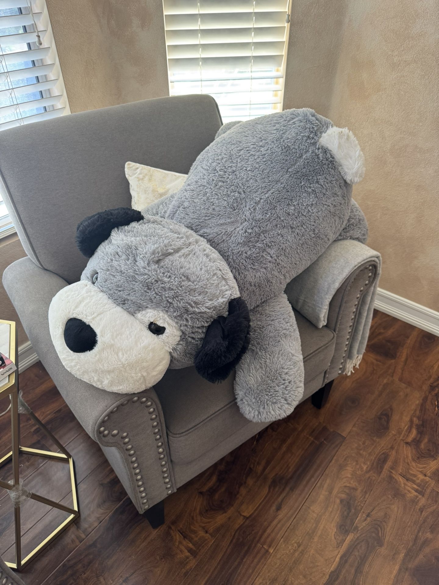 Gigantic Puppy