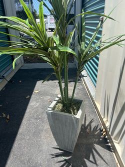Fake plant