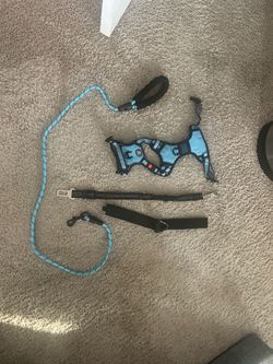 Dog training collar