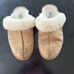 Ugg Slippers 
