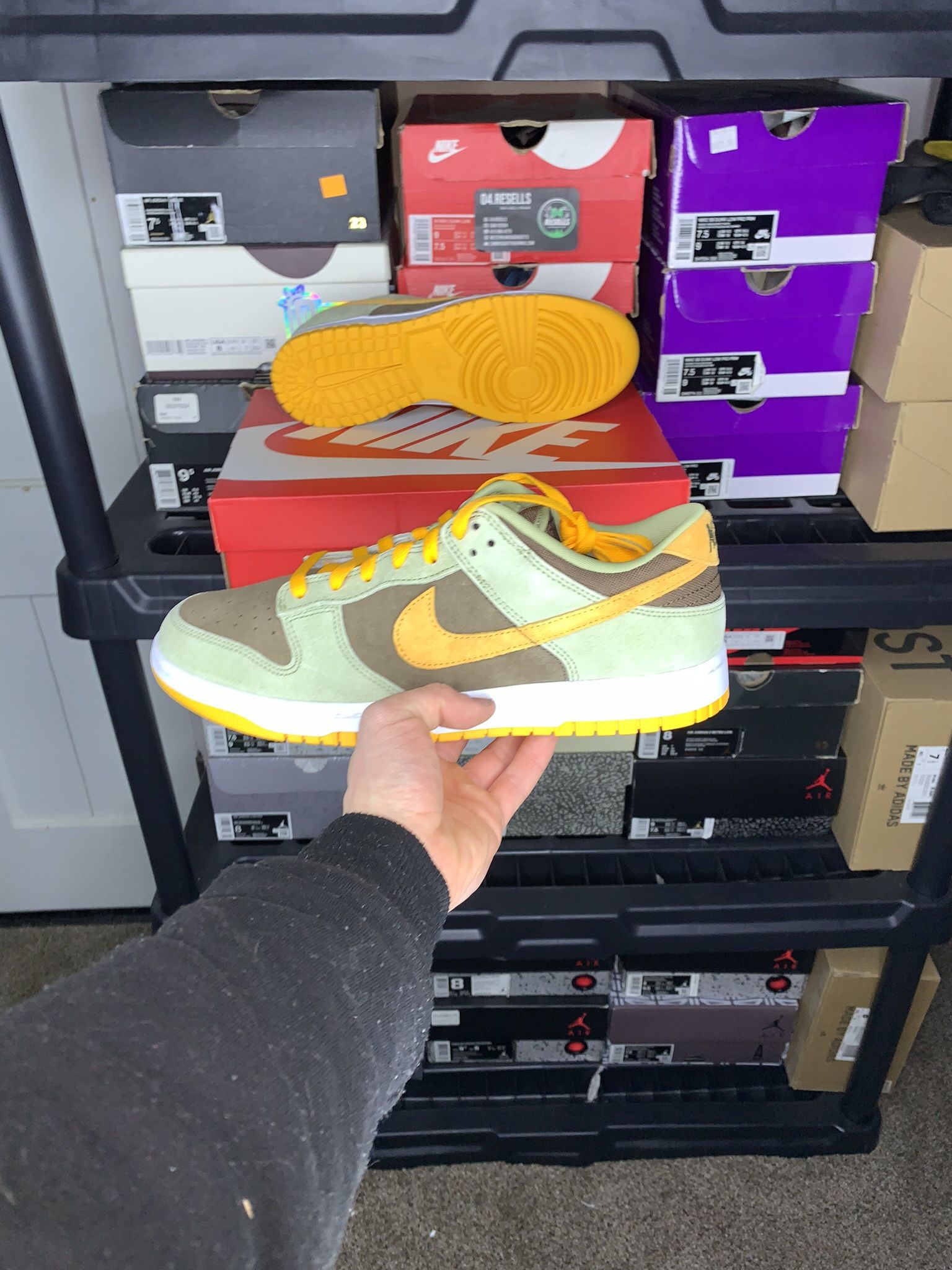 Nike Dunk Low Dusty Olive