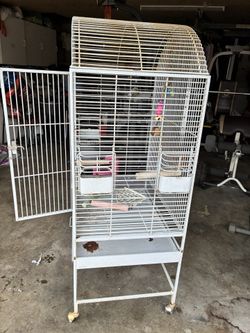 Bird Cage