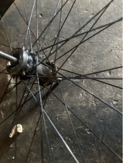 Bicycle Wheel Hub with Spokes