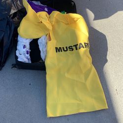 Halloween Mustard Costume 