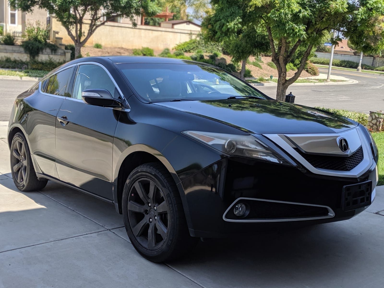 2010 Acura ZDX