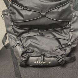 Northface Backpack