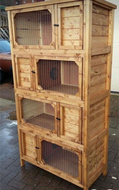 Chicken Cage 