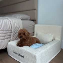 Luxury Dog Bed - NEW IN THE BOX