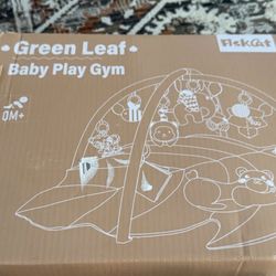 Baby Play Gym (New)