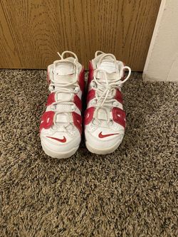 Nike Pippens