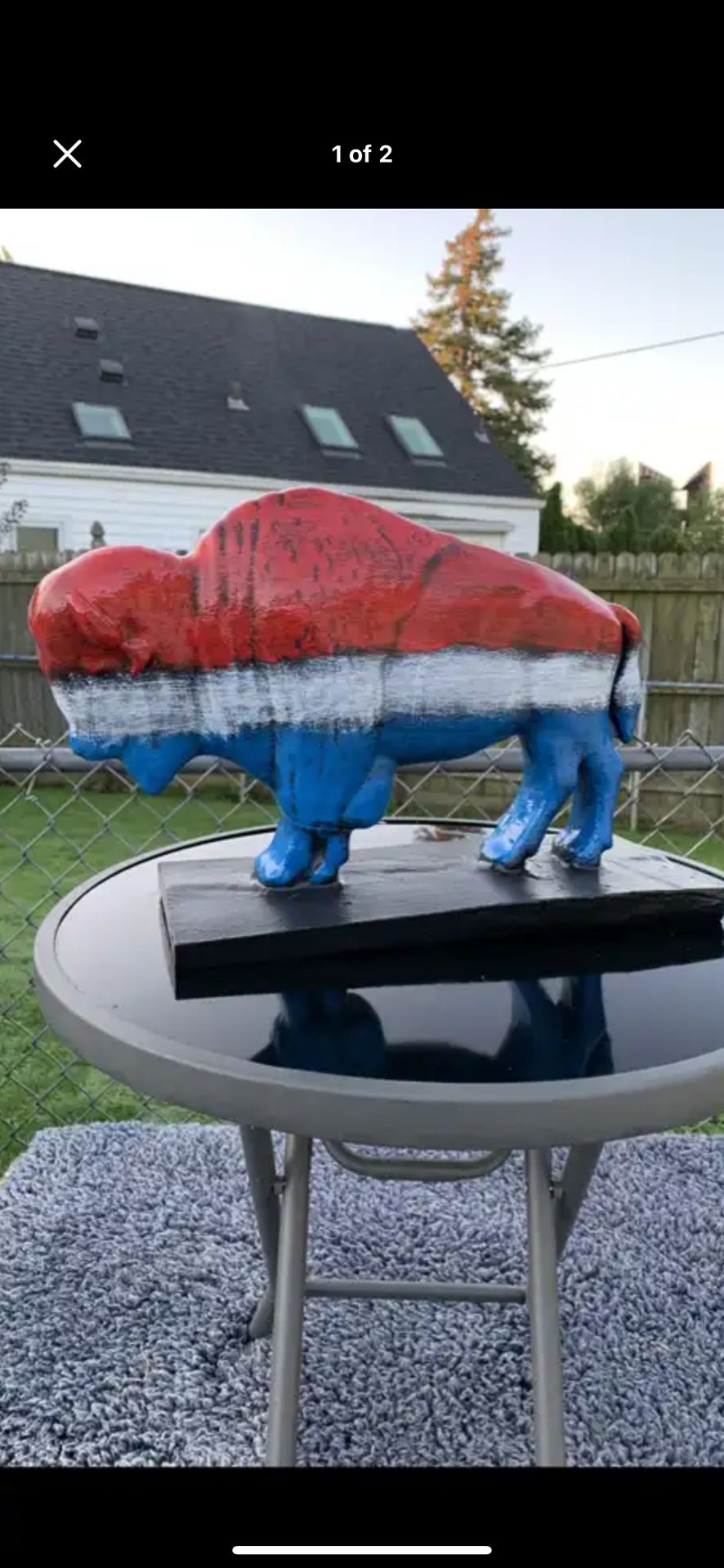 Red, White And Blue Buffalo
