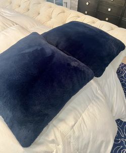 Pair Of Pier 1 Imports Decorative Pillows