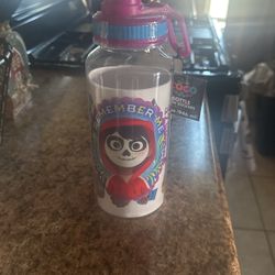 Disney Coco Water Bottle With Stickers