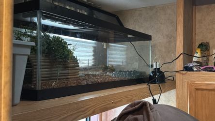 Reptile enclosure
