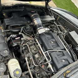 Msd manifold & Nick Williams 103mm