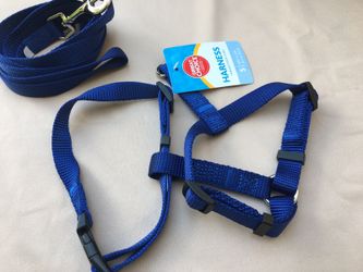 Small dog harness and leash
