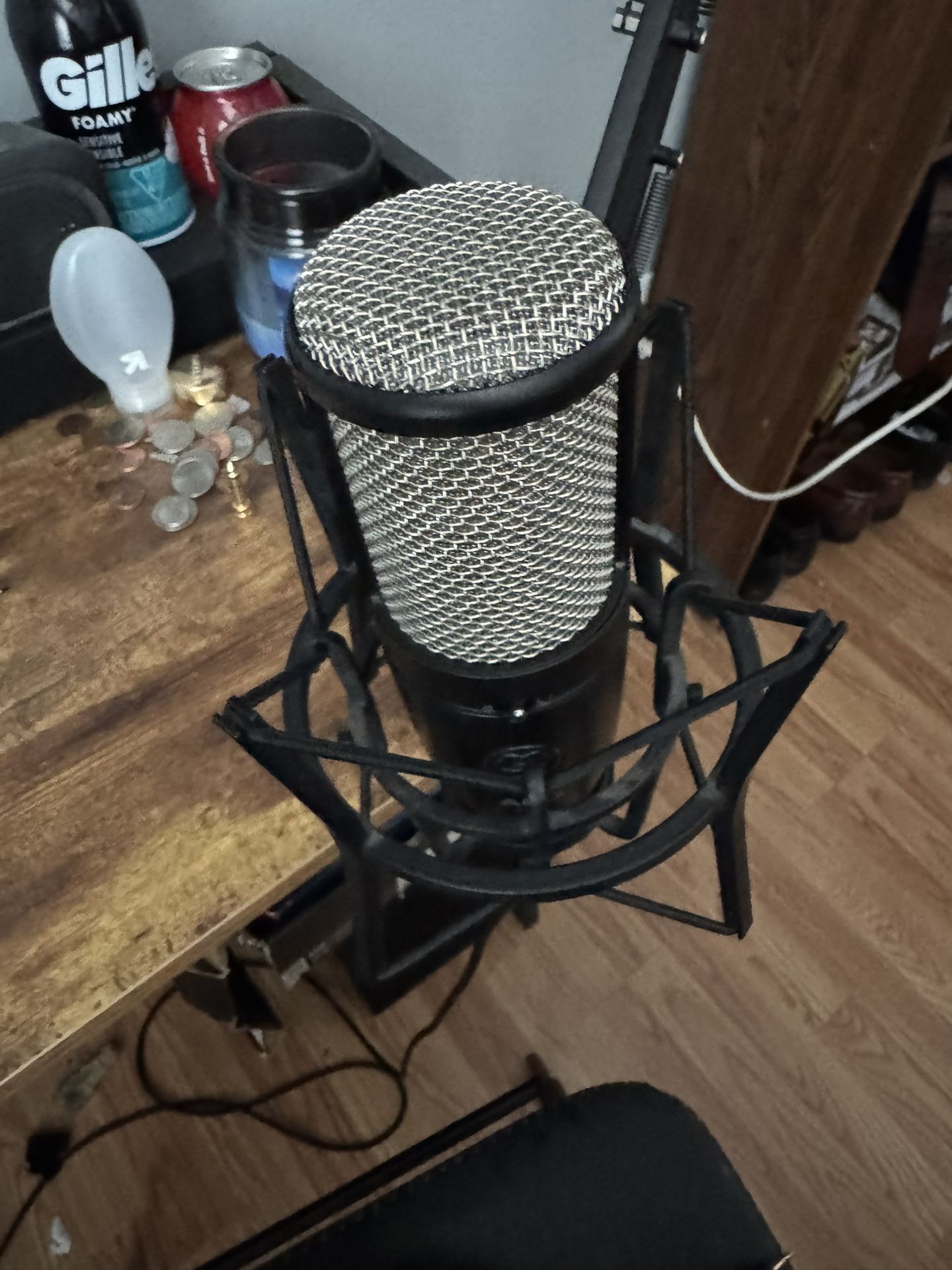 Professional Studio Mic