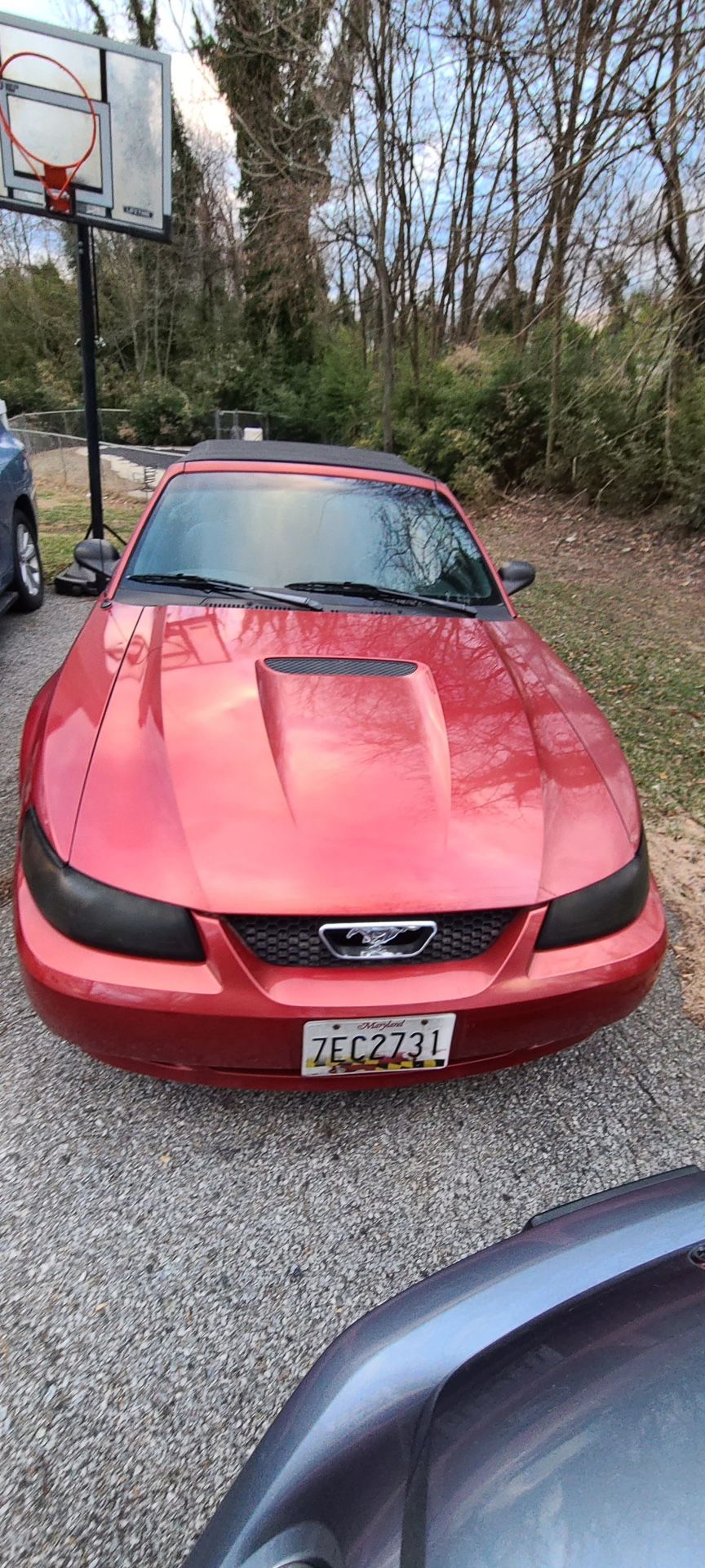 2000 Ford Mustang