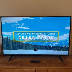 43” Roku Smart TV