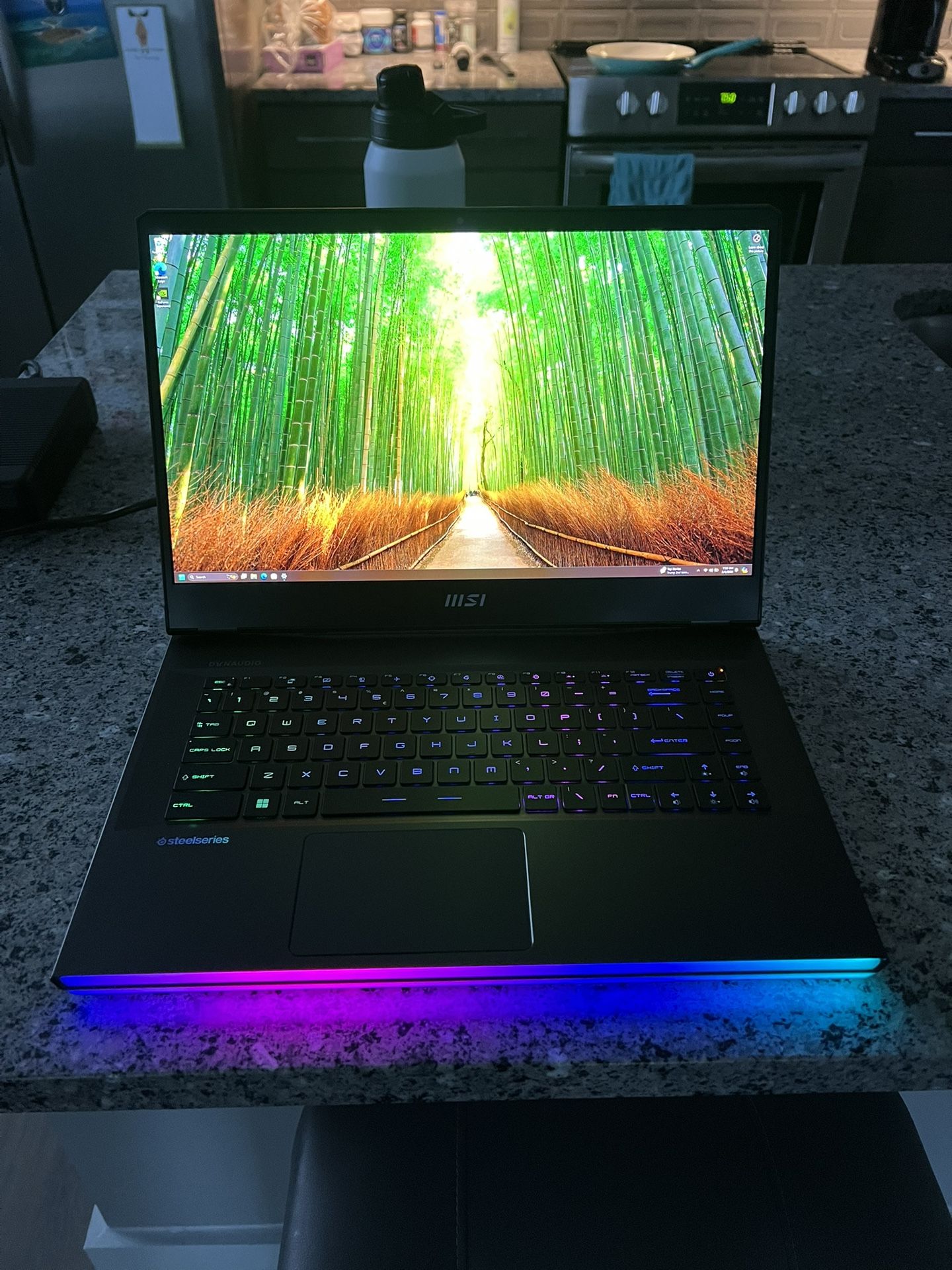 MSI Raider GE67HX 15.6” OLED Gaming Laptop