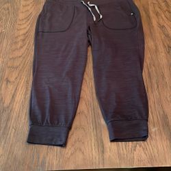Heather Gray Jersey Knit Torrid Pants