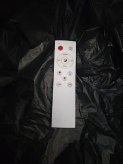 Ceiling light remote