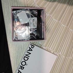 Pandora Bracelet With 2 Charms