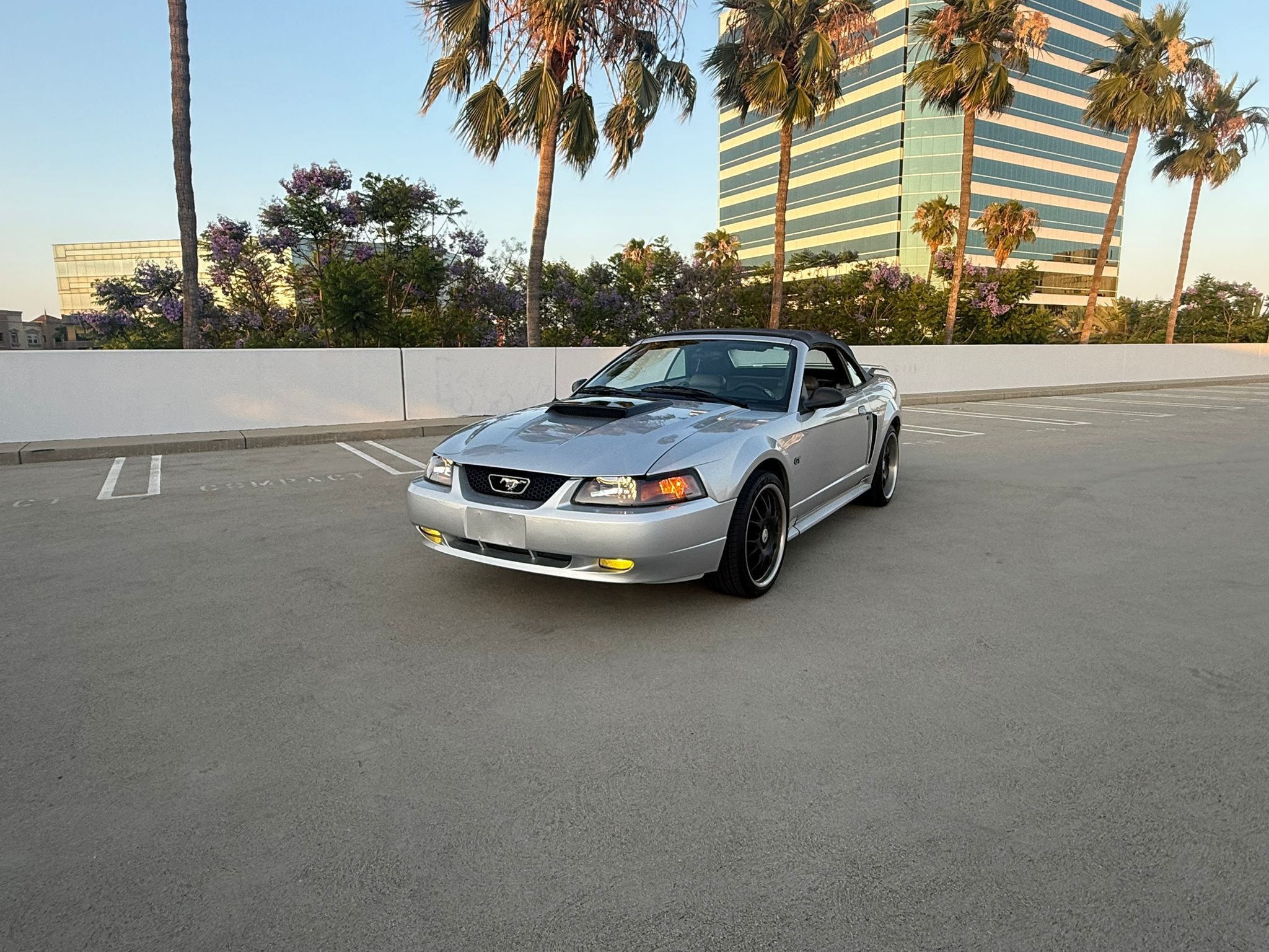2001 Ford Mustang