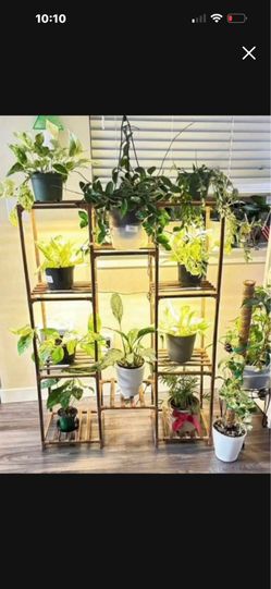 Plant stand
