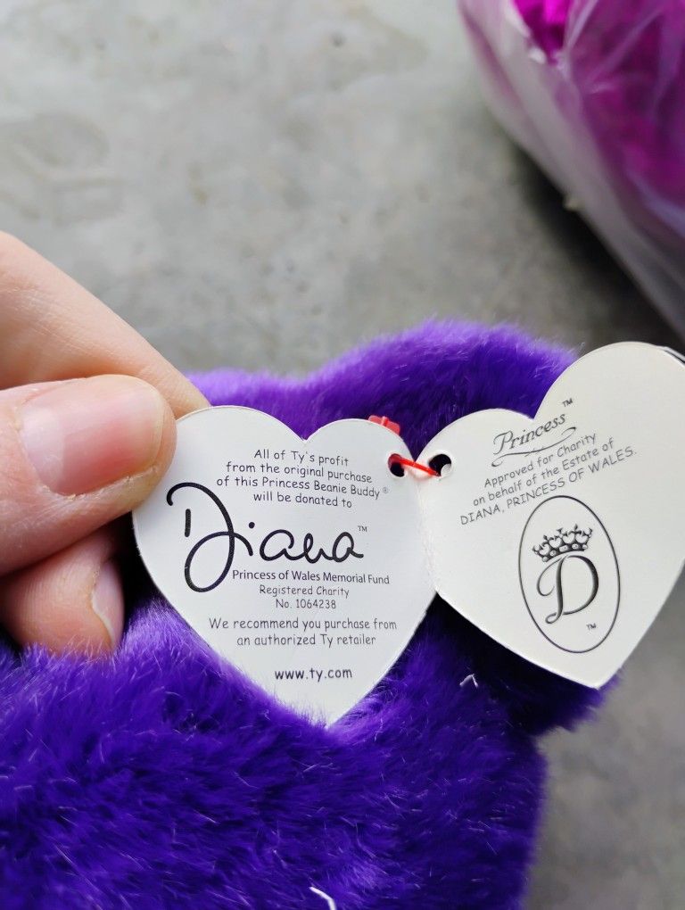Rare Collectable Beanie Babies