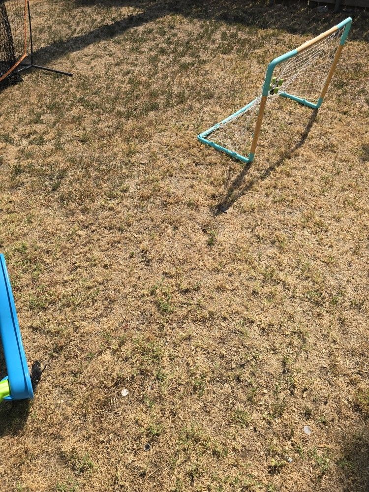 Grass Dying N Sprinklers