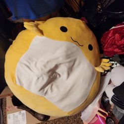 Squishmallow, Need Gone Asap