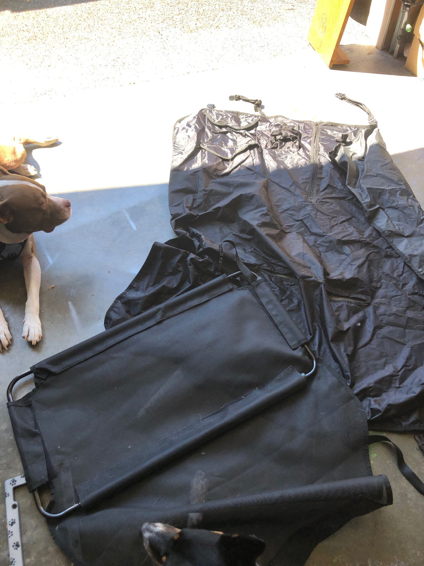 Dog cargo cover and barrier
