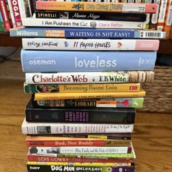 Chapter kids Books Lot (20)