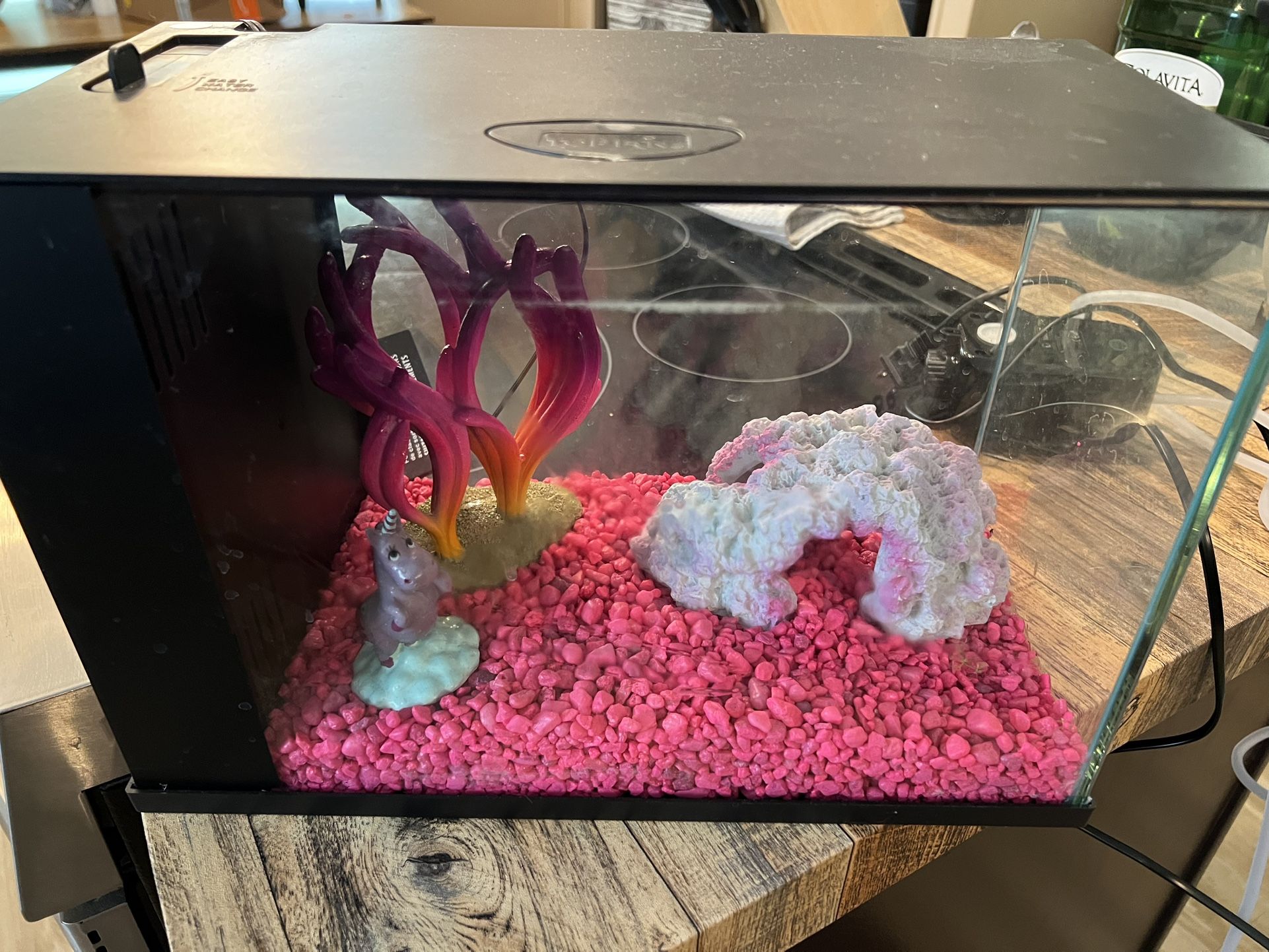 Top Fin 3 Gallon aquarium fish tank with decorations