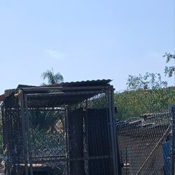 Dog Kennel