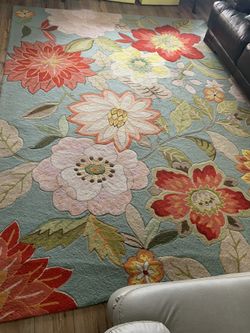 Nourison Rugs