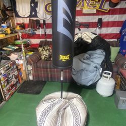 Everlast Reflect Bag And Gloves MMA