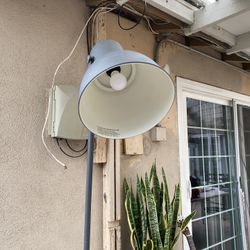 Large Lamp