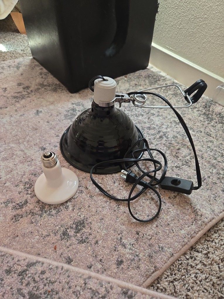 Reptile Heat Lamp with Bulb