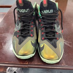 Nike - LeBron James 11 Kings Pride Size 12 - Great Shape