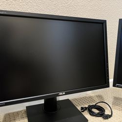 Dual ASUS Monitors with Desk mount