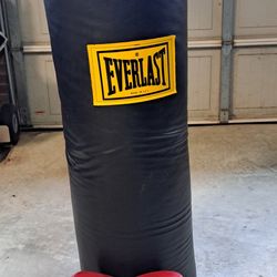 Everlast Heavy bag