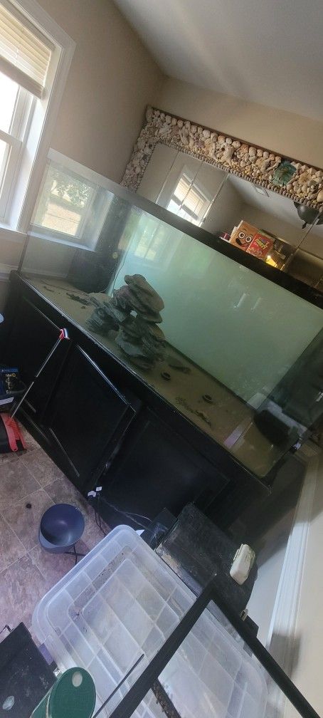 220 Gallon Fish Tank & Stand